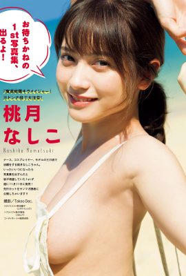 Nashiko Momotsuki 桃月なしこ, Young Magazine 2019 No.48 (ヤングマガジン 2019年48号)