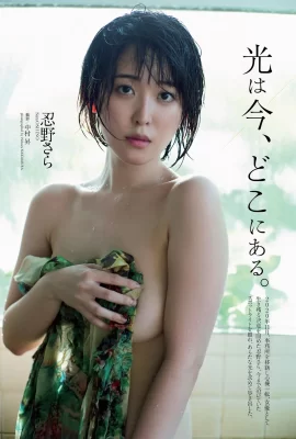 Sara Oshino 忍野さら, Weekly Playboy 2021 No.03-04 (週刊プレイボーイ 2021年3-4號)