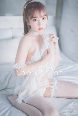 HaNari 하나리, [DJAWA] Snow Cat