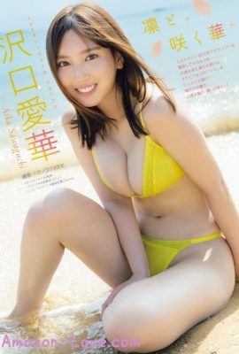 Aika Sawaguchi 沢口愛華, Young Magazine 2023 No.50 (ヤングマガジン 2023年50号)