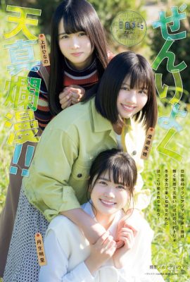 渡邉美穂, 丹生明里, 上村ひなの, Young Magazine Gekkan 2020 No.01 (月刊ヤングマガジン 2020年01号)