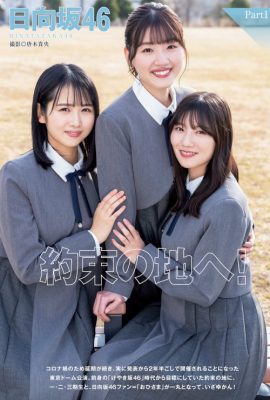 佐々木美玲 河田陽菜 上村ひなの, Young Jump 2022 No.16 (ヤングジャンプ 2022年16号)