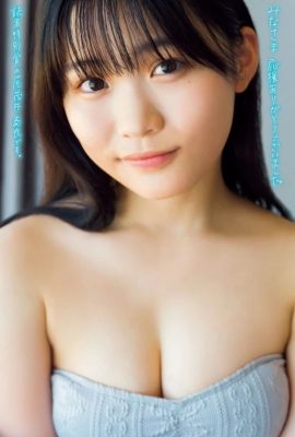 Sora Omoi 尾茂井奏良, Young Magazine 2024 No.41 (ヤングマガジン 2024年41号)