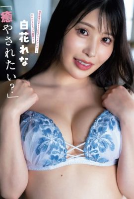 Rena Shirahana 白花れな, FLASH 2024.09.17 (フラッシュ 2024年9月17日号)