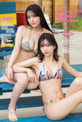 今森茉耶・葉月くれあ, Young Magazine 2025 No.02-03 (ヤングマガジン 2025年2・3号)