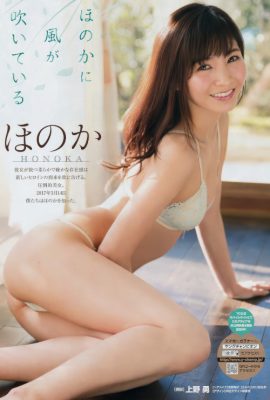 Honoka ほのか, Young Champion 2017 No.07 (ヤングチャンピオン 2017年7号)