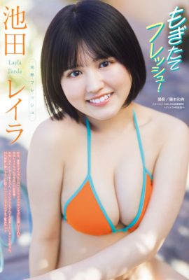 Layla Ikeda 池田レイラ, Young Magazine 2025 No.21 (ヤングマガジン 2025年21号)